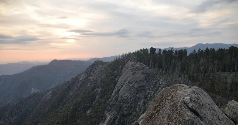 Private Tagestour nach Sequoia und Kings Canyon ab Los Angeles