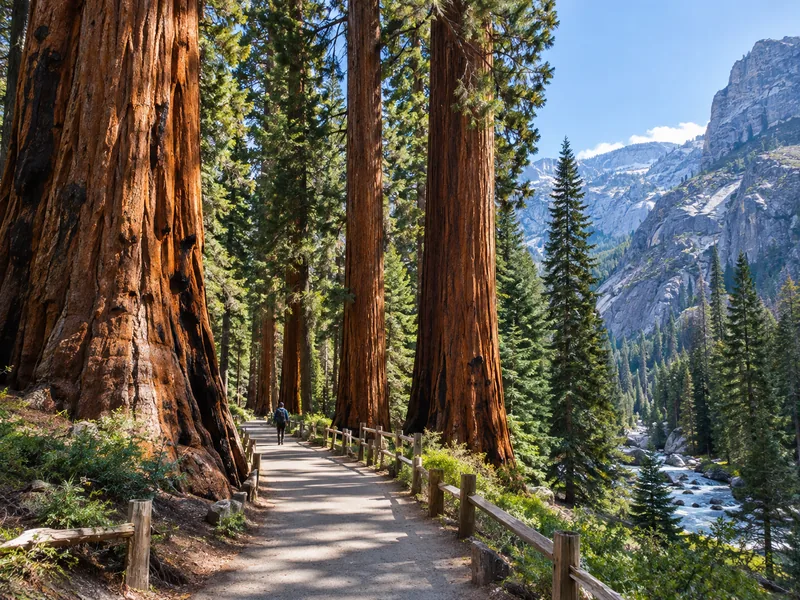 Wanderung zum General Sherman Tree und auf dem Congress Trail